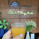 강변빌라 | 호이안 리버사이드 빌라 후기 다낭 호이안 빌라 가성비 더 솔트 필드