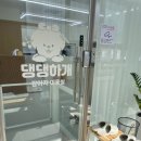 댕댕하개 이미지