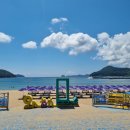 누우래 | 거제 와현 해수욕장 개장일 이용시간 주요시설 와현모래숲