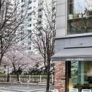 북악중학교 입구 이미지