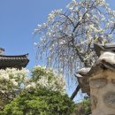 직지길(3) | 봄에 가기 좋은 사찰 김천 직지사, 김천 여행하며 힐링하고 온 후기