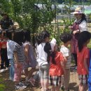 영일어린이집 이미지