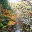 내장산약국 이미지