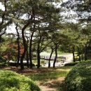 용의발광장 이미지