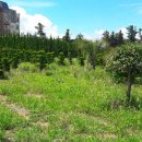 청아빌라 이미지