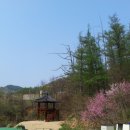 충주호체험 이미지