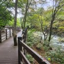 승원테크 | 공주가 볼만한 곳 유네스코 세계 유산 마곡사