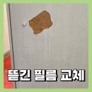 프라임킴 | 파주 MDF 필름 수리 찢어지고 뜯긴 몰딩 필름 교체
