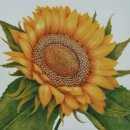 프라임민박 이미지