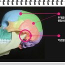 순수한의원 이미지