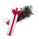 게임프랜드 이미지