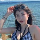 디프리투어 이미지
