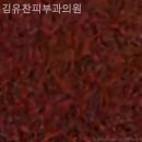 김유찬피부과의원 | 목동피부과 김유찬피부과의원 자연스레 밝아지는 하루!