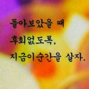 엔돌핀 Daum카페