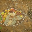 오금어린이집 이미지