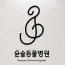 윤슬동물병원