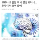 [일반] 접종자가 냄새 잘 못맡는 이유 이미지