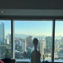 첼로(성인반) 이미지