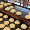 석천들마을 정문 앞 횡단보도 | [안동] 안동맛집 안동디저트 안동맘모스베이커리 온누리 가능 내돈내산 후기