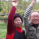 양암농장 이미지