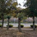 창이대로 이미지