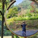 스태이인 이미지