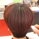 비케이티 이미지