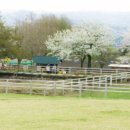 마더농장 이미지