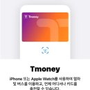 티머니_지하철