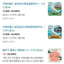 세돌, 돌 아기랑 거제 씨월드, 할인정보, 공연 시간표, 주차, 전기차 충전소 정보