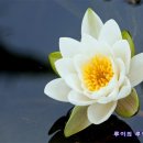 좋은사람들