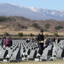 리서치플러스조사연구소