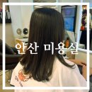 미용실] 안산 중앙동 크리닉 잘하는 미용실 살롱드 로웰미에서 수진 디자이너에게 크리닉 받은 솔직 후기