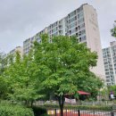 글꽃초등학교 앞 이미지