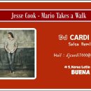 #64 : Jesse Cook - Mario Takes a Walk (DJ CARDI JAY salsa remix) 이미지