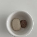 알엠에스 - 의왕시 포일세거리로 10 | 아기 도자기 그릇, 식판 추천 / 플라또(plato), 알엠에스(rms) 도자기 그릇 후기