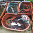 죽변시장 이미지