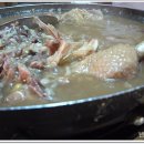 비눌치쉼터