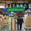 성진청과