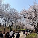 서울숲 곤충식물원 화장실 이미지