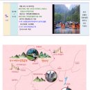 하얀물안개 | 🌸 장가계 여행 후기 | 안개 속을 걸어, 하늘에 닿다