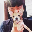 라벤더하우스 | 제주한달살이/ 느영나영게스트하우스/ 느영나영스텝살이 - 복수 스텝편