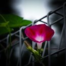 광주체육고등학교 이미지