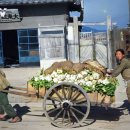 고화질 영상으로 보는 1940년대 한국과 북한 이미지