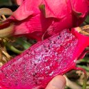 현명농장 이미지