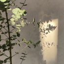 조수1리사무소 이미지