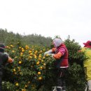 고금면-3 이미지