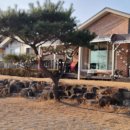 돌트미스테이 이미지