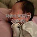 하빈쇼핑