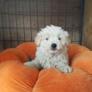 송산2길 이미지